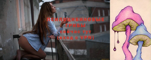 мдпв Бугульма