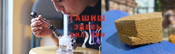 a pvp Бородино