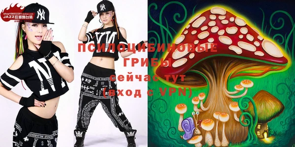 Альфа ПВП Бронницы