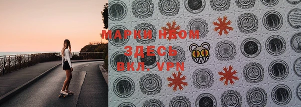 дмт Богданович