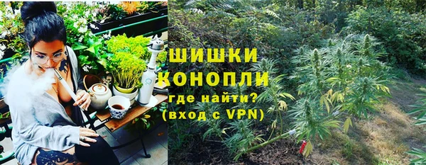 мдпв Бугульма
