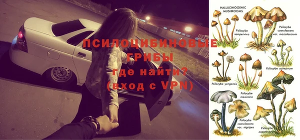 a pvp Бородино