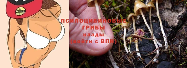 a pvp Бородино