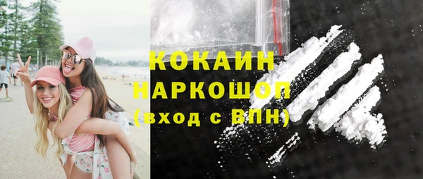 a pvp Бородино