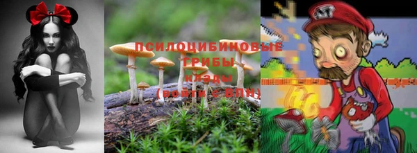 a pvp Бородино